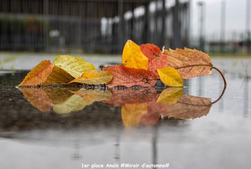 N°1#reflets#miroir d'automne#anaïs