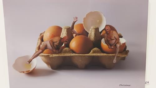 #13#les oeufs couvés