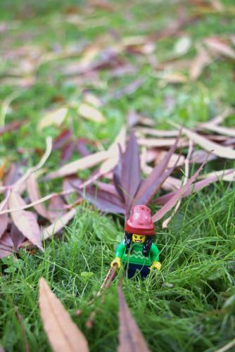 #16#c'est une histoire d'échelle