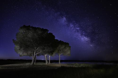 Jean marc novali#ciel étoilé sur l'étang