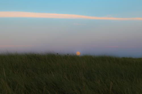 22#bernard#pleine lune sur dune