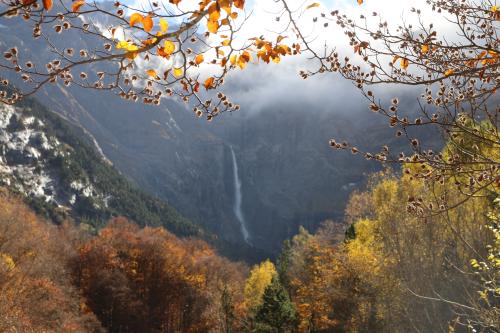 #24#la cascade encadrée