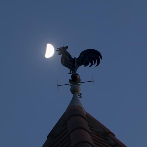 #24#le coq a rendez vous avec la lune