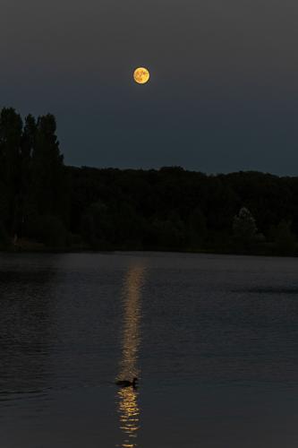 10#maryannik#rêverie au clair de lune