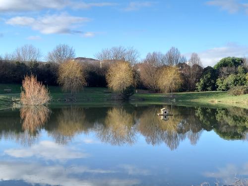 #25#y a le feu au lac