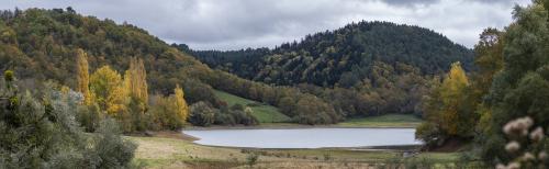 #27#les peupliers du lac