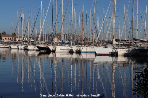 N°3#reflets#méli-mélo dans l'eau#sylvie