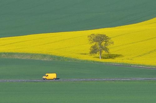 Christine roland#echappée jaune