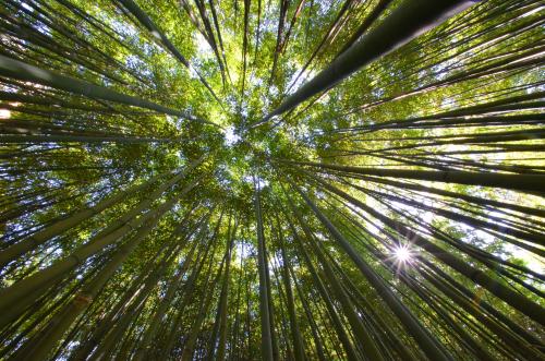 Christine roland#pointés vers l'infini